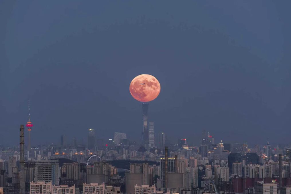 小九直播