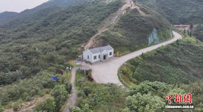 小九直播