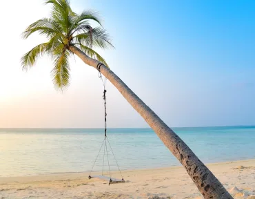 Travel Articles - 小九直播